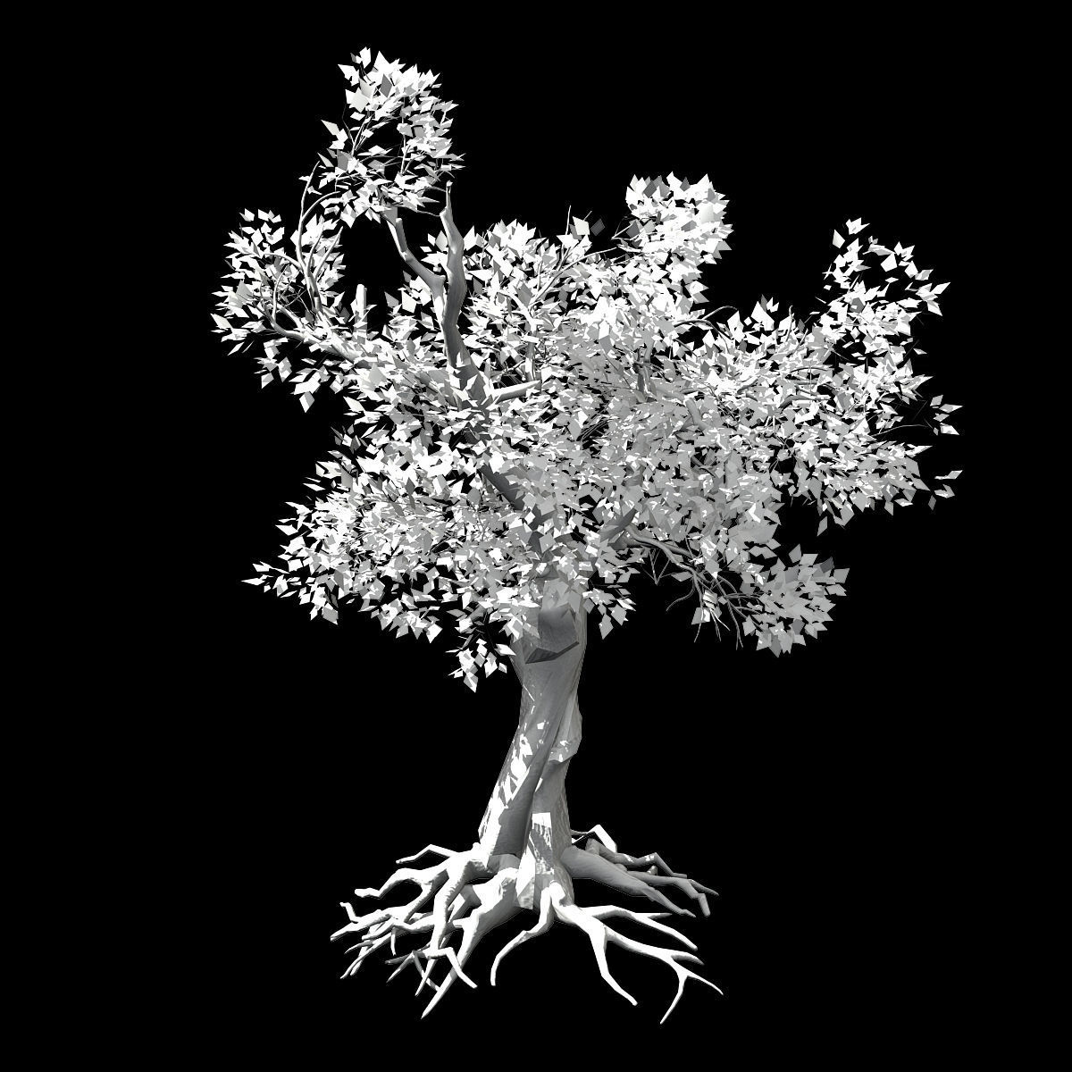 Hundred Forests-Plants-Acacia 03 3D model_2