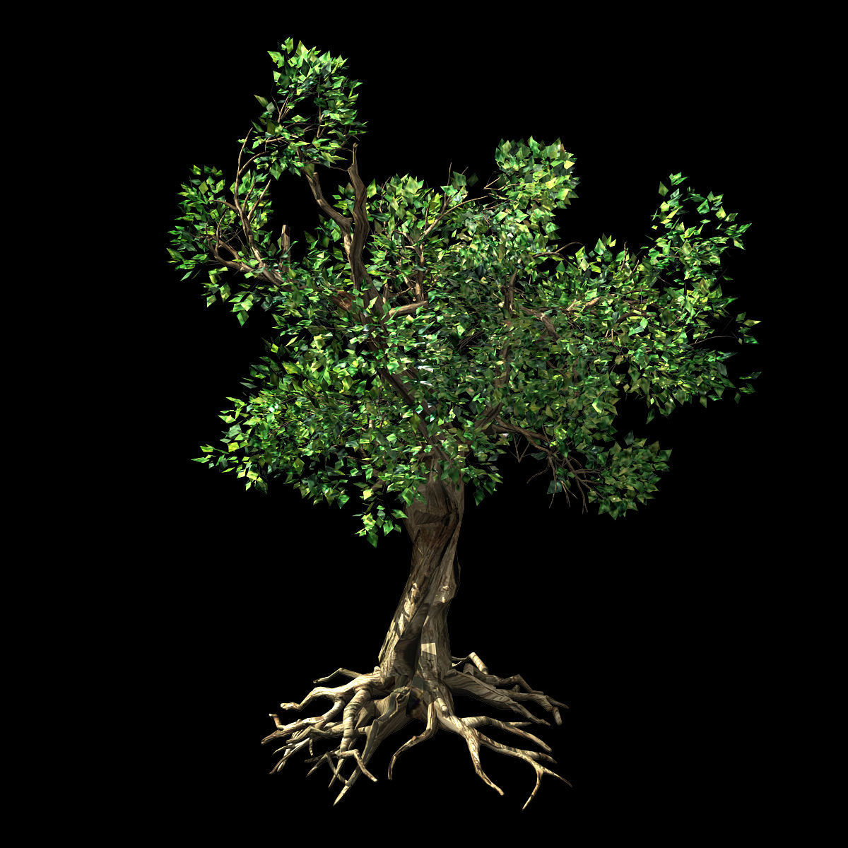 Hundred Forests-Plants-Acacia 03 3D model_1