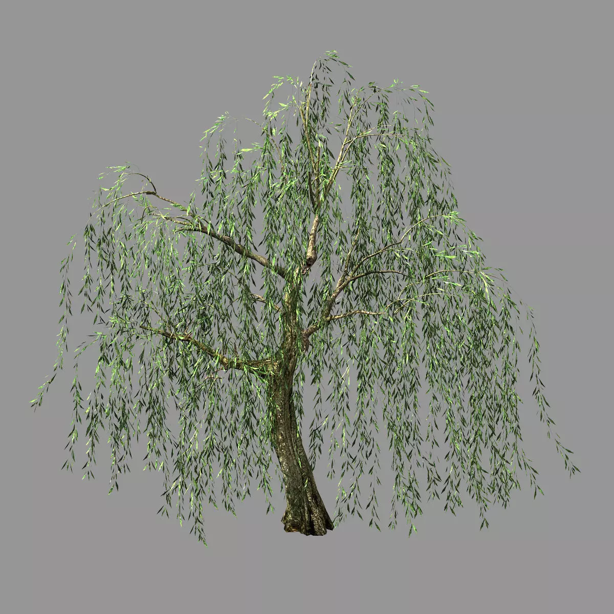 Hundred Forests-Plants-Willow 01 3D model_0