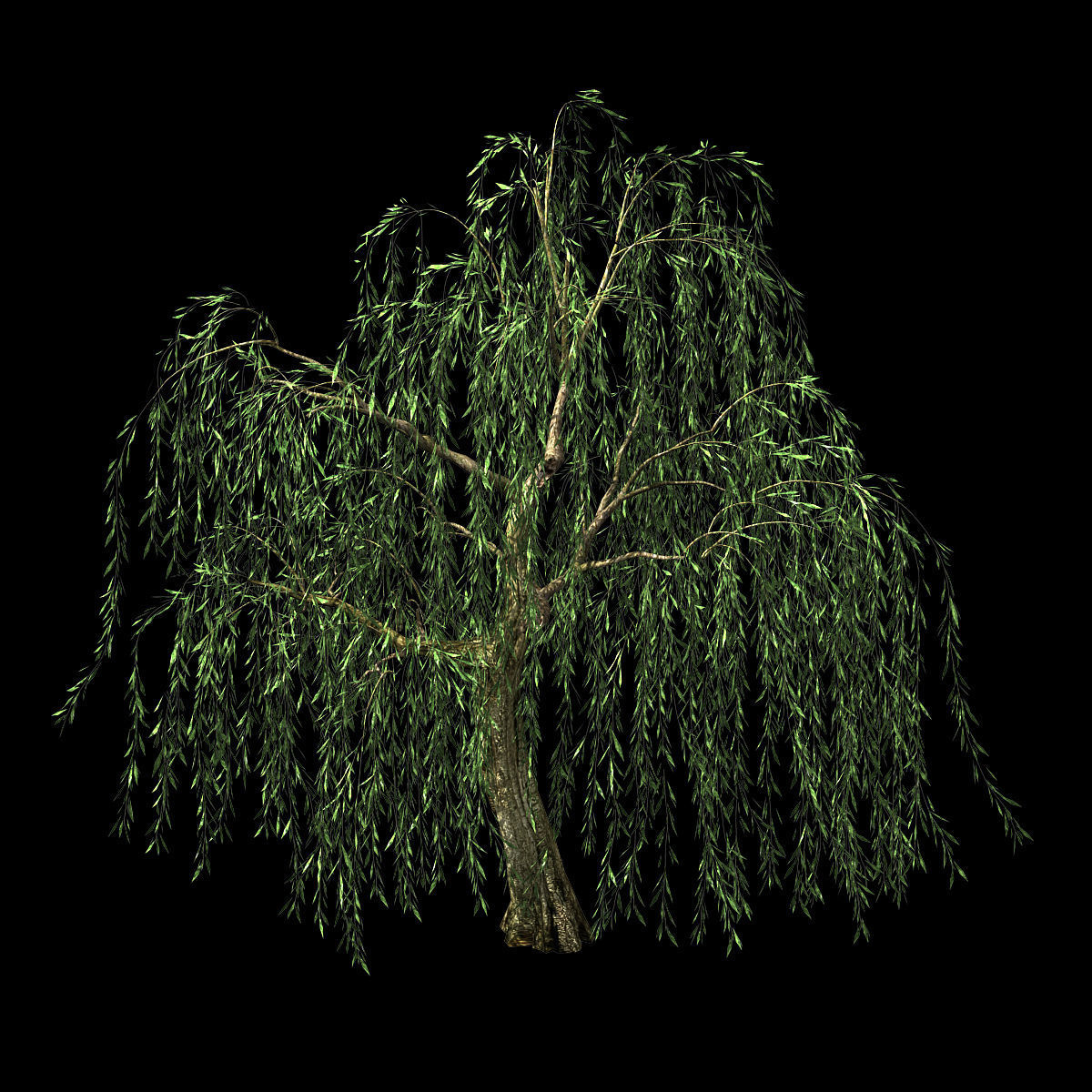 Hundred Forests-Plants-Willow 01 3D model_1