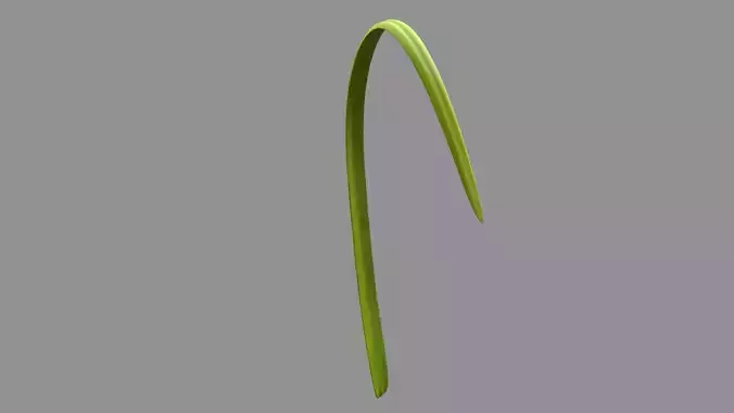 Grass Leaf A Stylized Low-poly 3D model