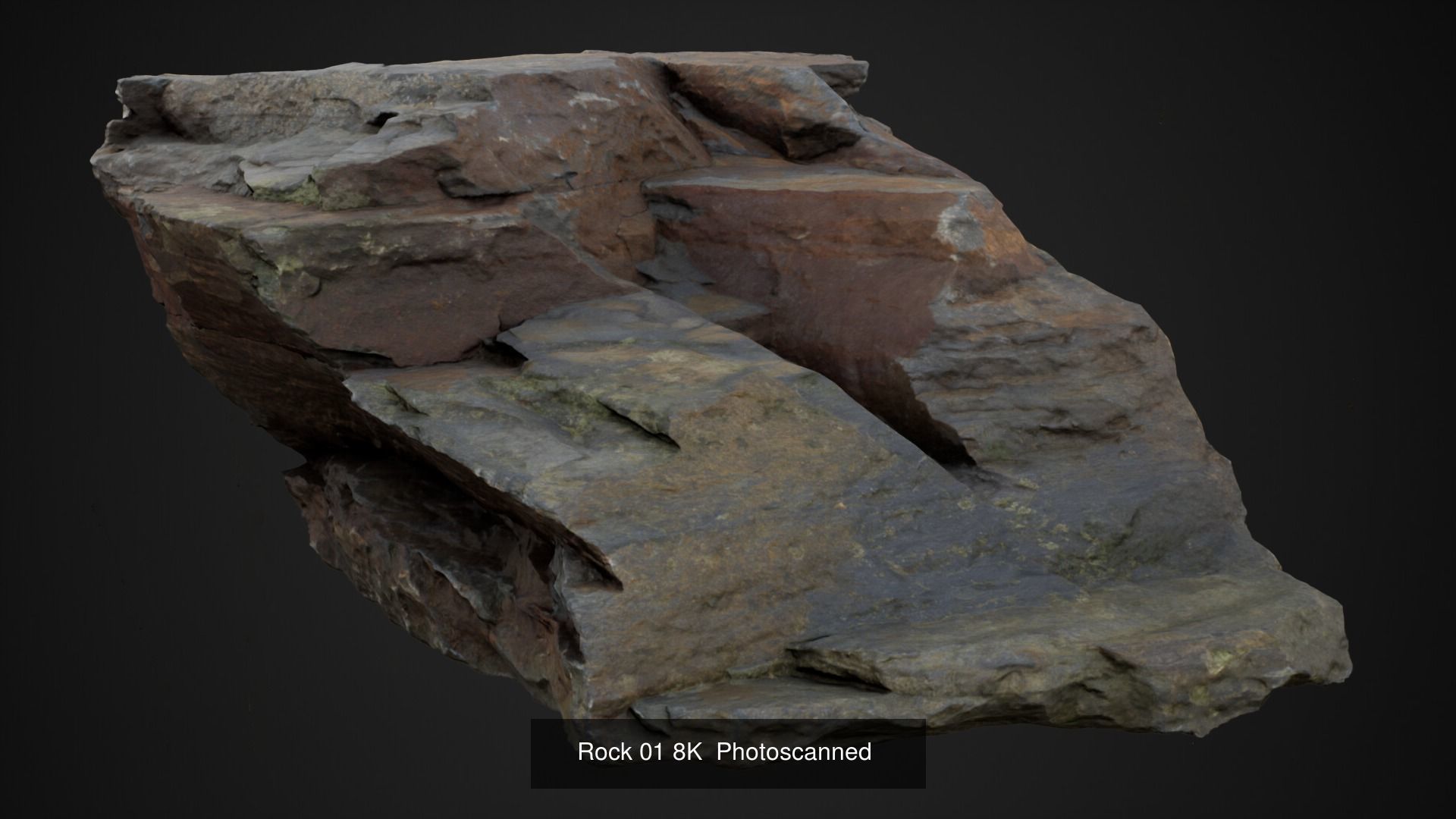 Broadleaf Undergrowth 3D Model Collection_13