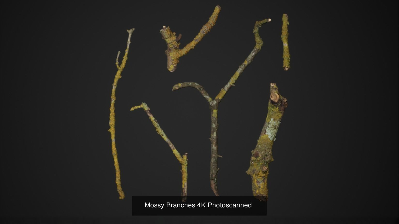 Broadleaf Undergrowth 3D Model Collection_8