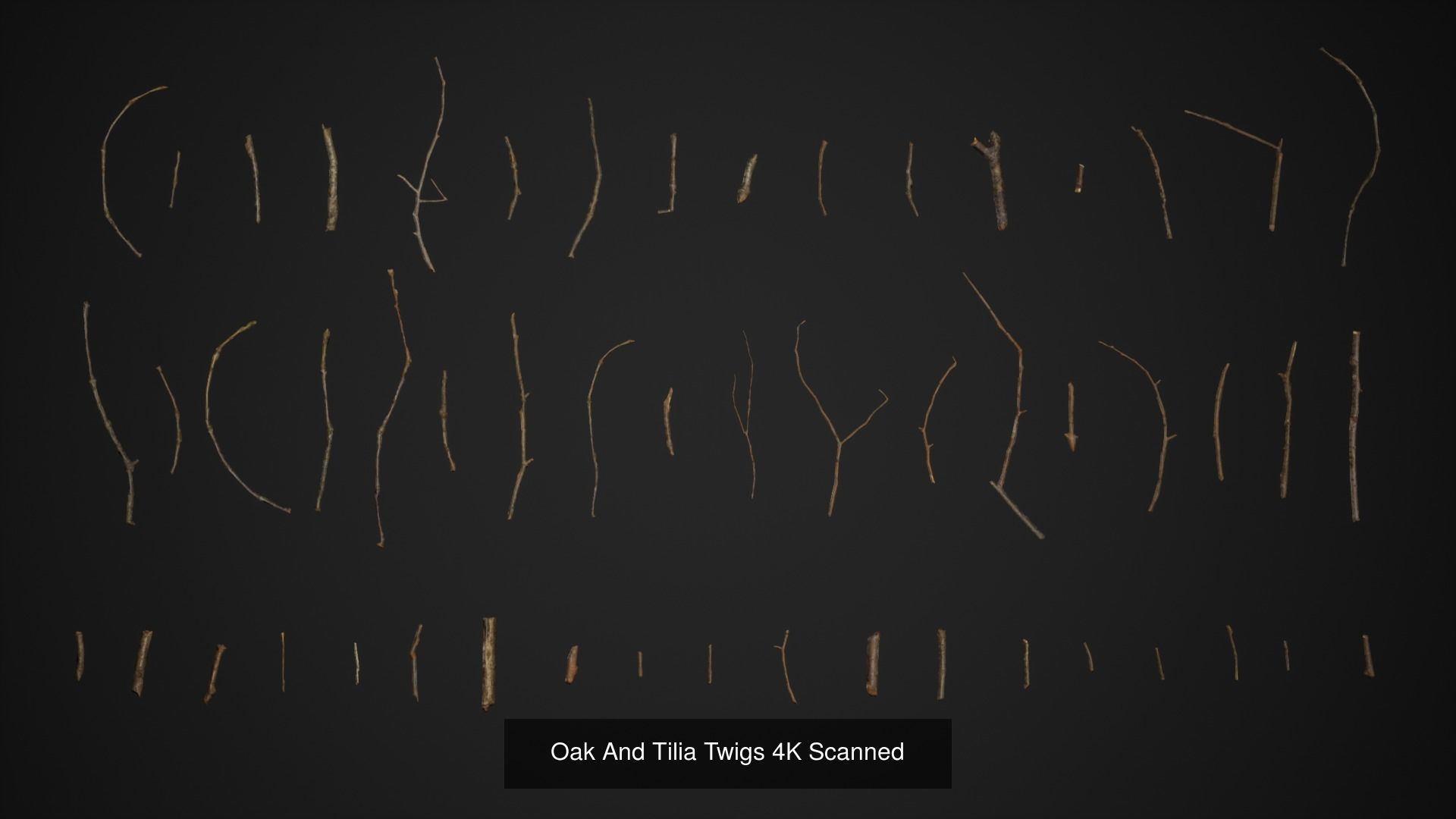 Broadleaf Undergrowth 3D Model Collection_11