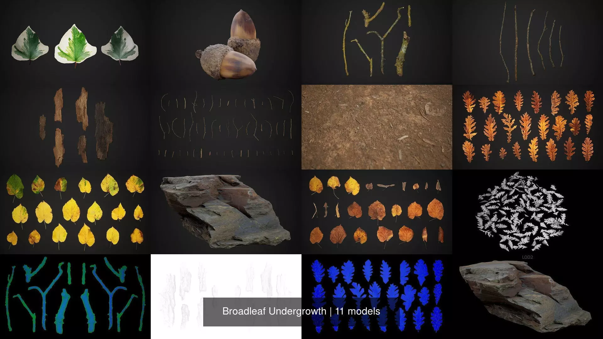 Broadleaf Undergrowth 3D Model Collection_0