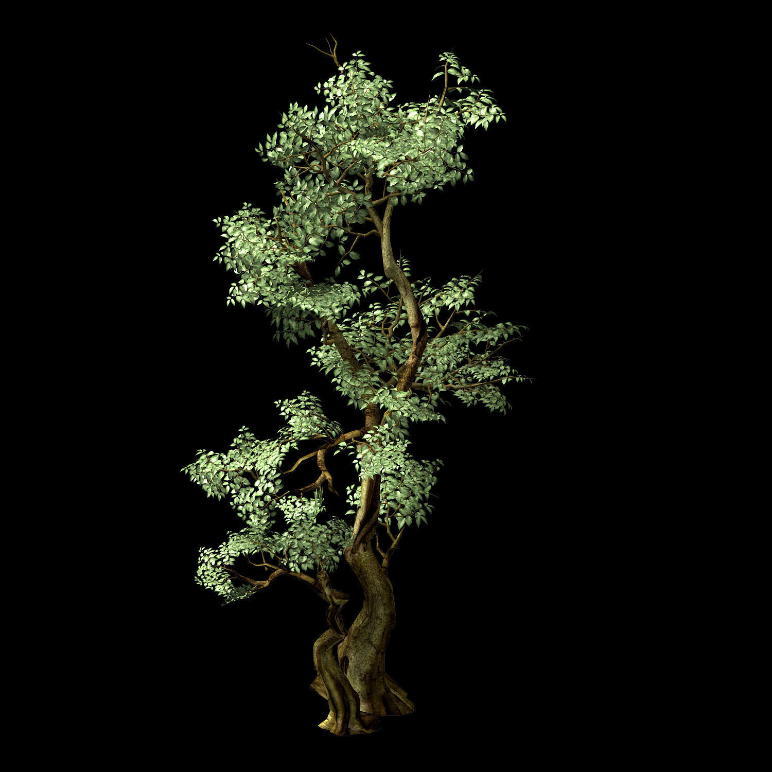 Hundred Forests-Plants-Banyan 01 3D model_1