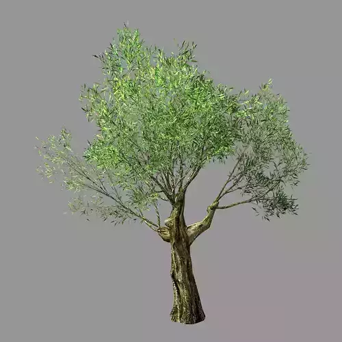 Hundred Forests-Plants-Sui Di Tree 01