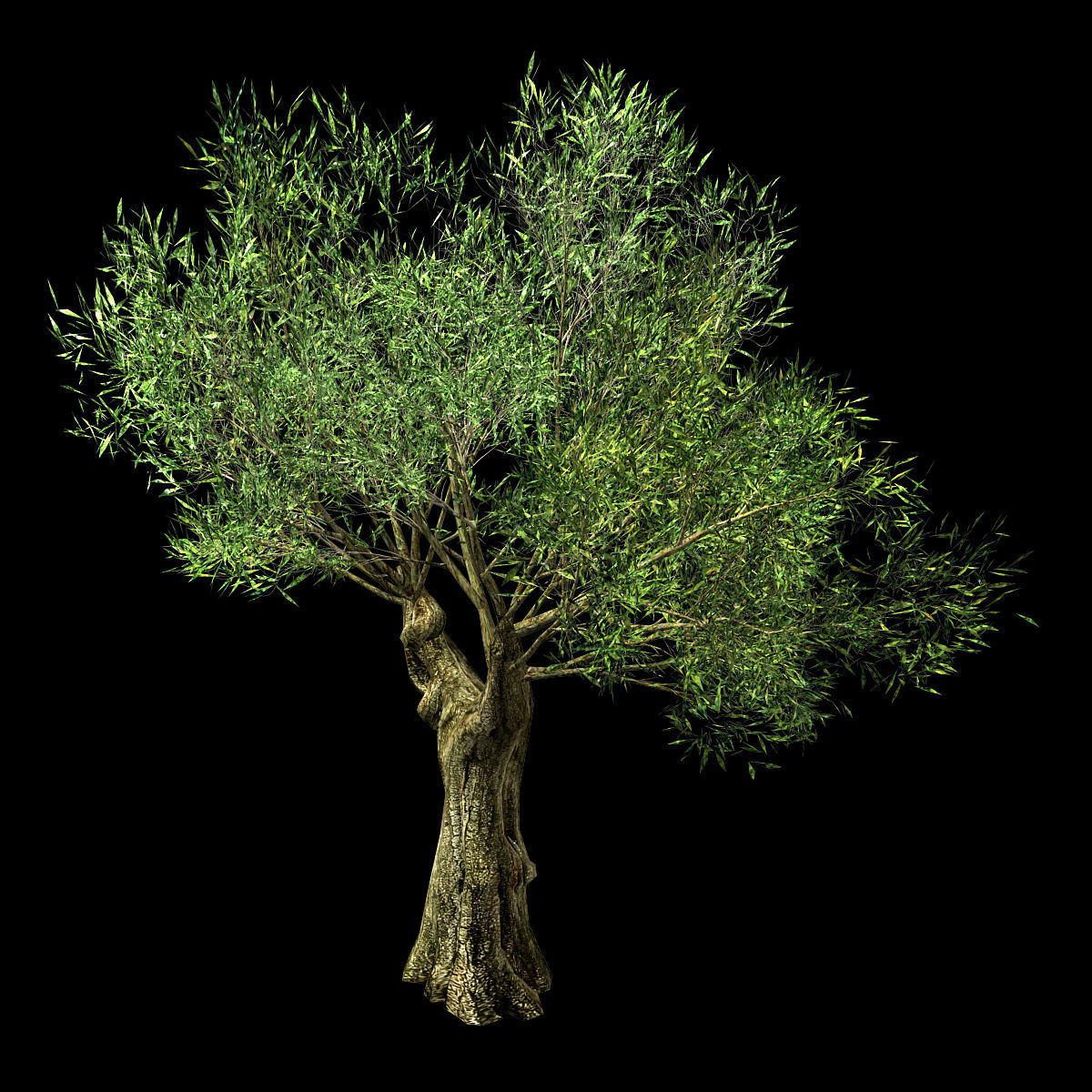 Hundred Forests-Plants-Sui Di Tree 03 3D model_1
