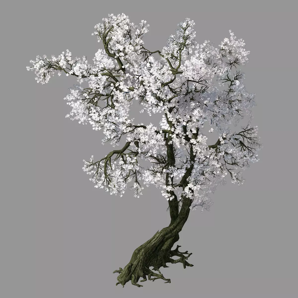 Hundred Forests-Plants-Apricot Tree 05 3D model | CGTrader