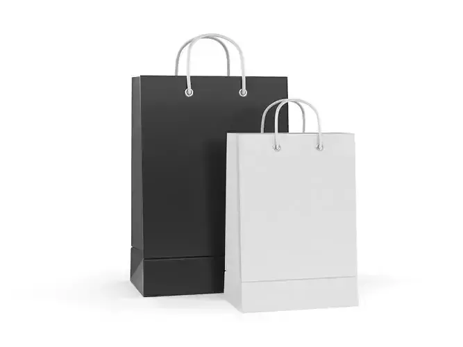 Paper Shopping Bags