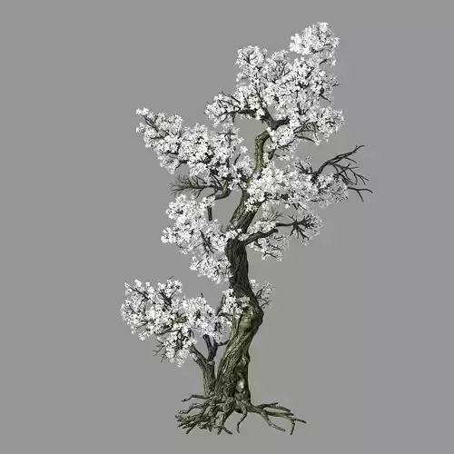 Hundred Forests-Plants-Apricot Tree 06