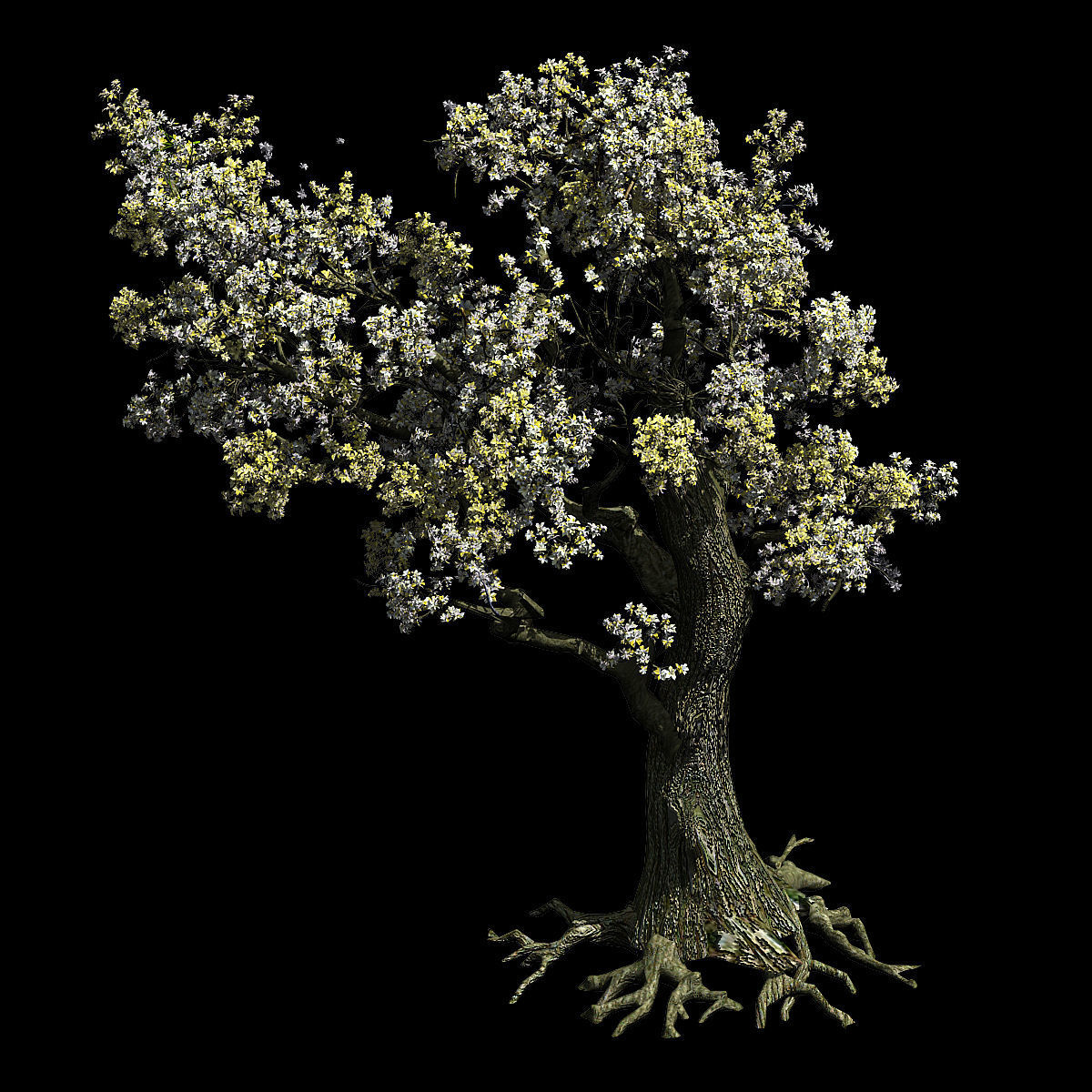 Hundred Forests-Plants-Elm 01 3D model_1