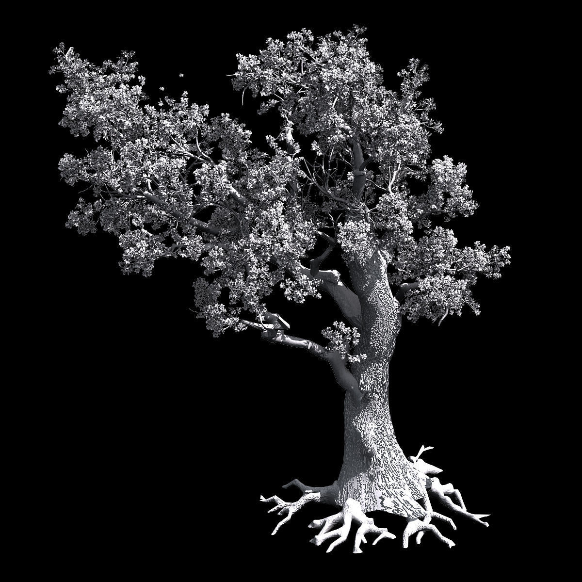 Hundred Forests-Plants-Elm 01 3D model_2