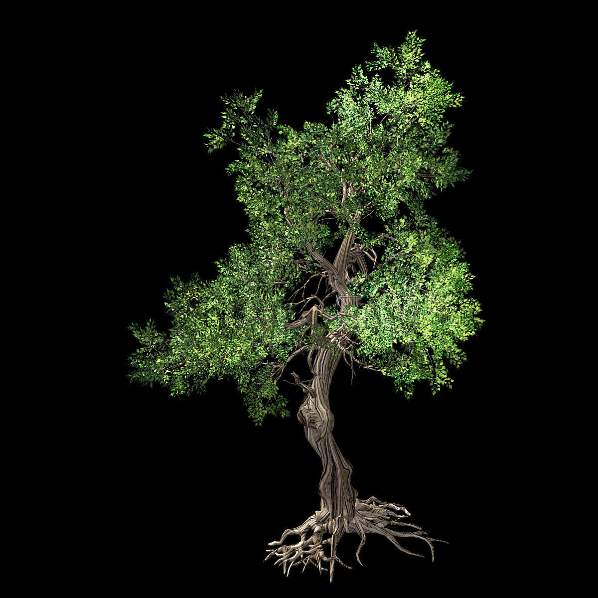 Hundred Forests-Plants-Elm 03 3D model_2