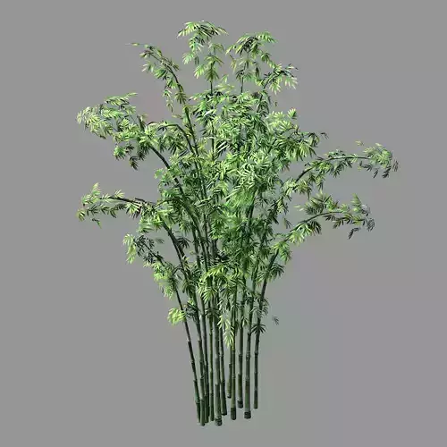 Hundred Forests-Plants-Bamboo 01