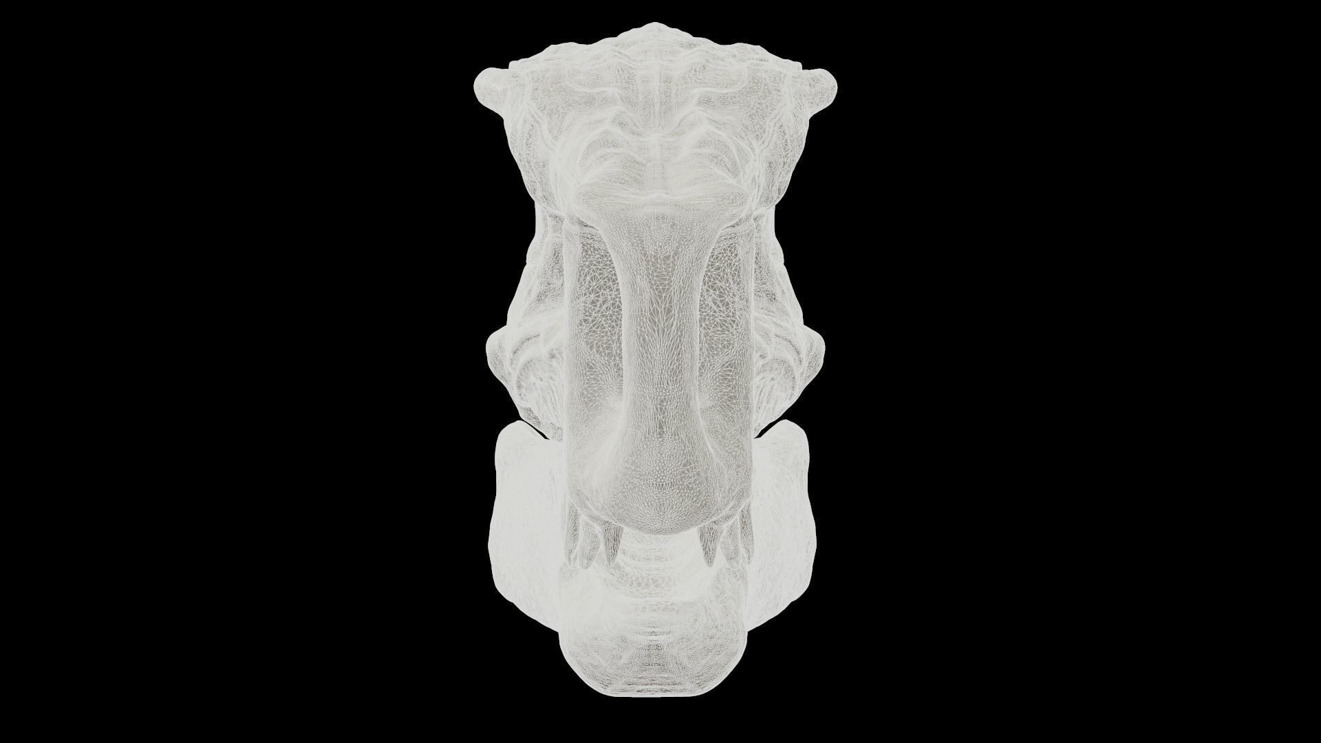 Heterodontosaurus Skull 3D model_15