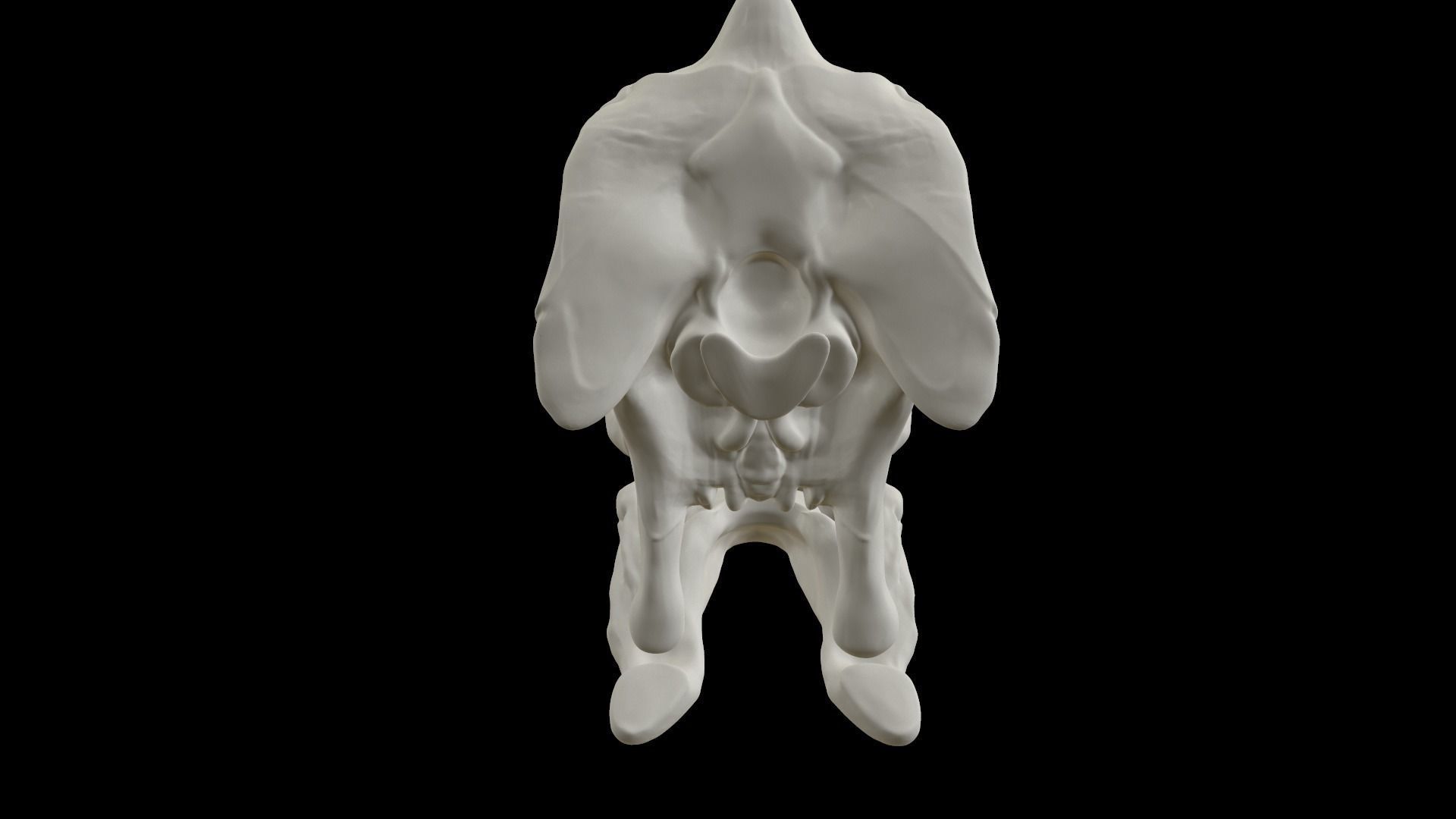 Heterodontosaurus Skull 3D model_10