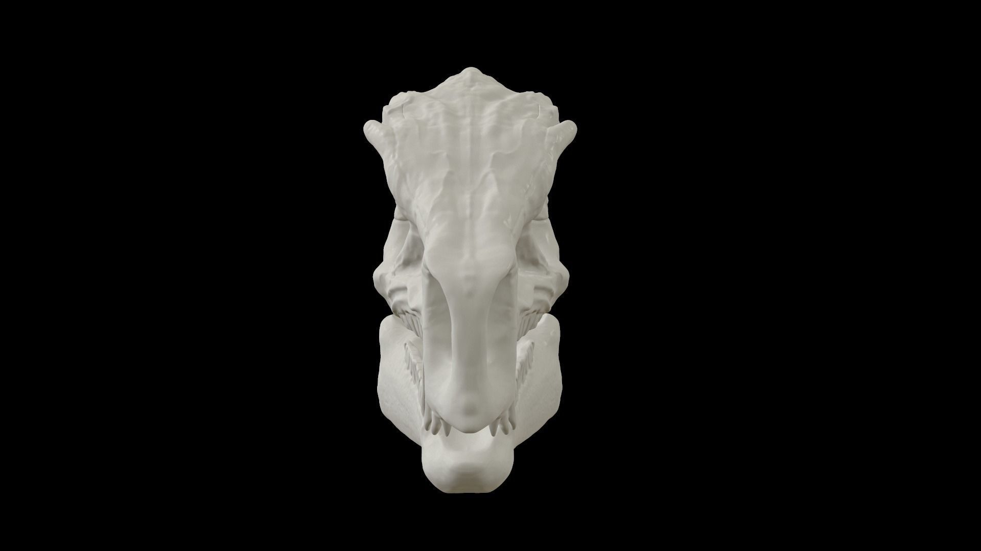 Heterodontosaurus Skull 3D model_5