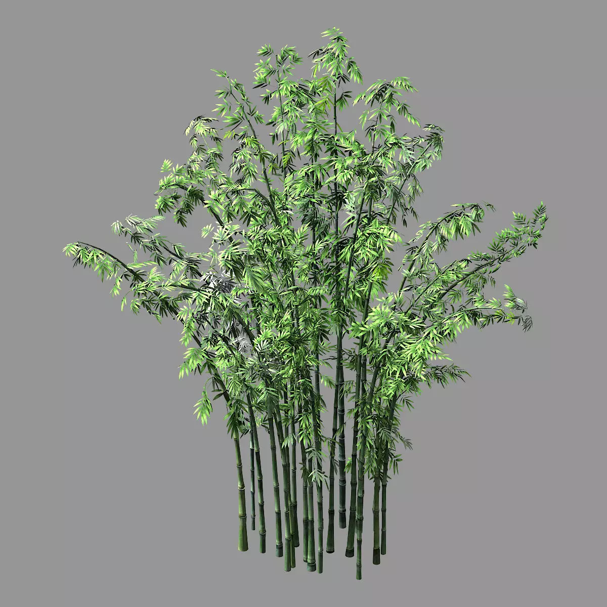 Hundred Forests-Plants-Bamboo 02 3D model_0