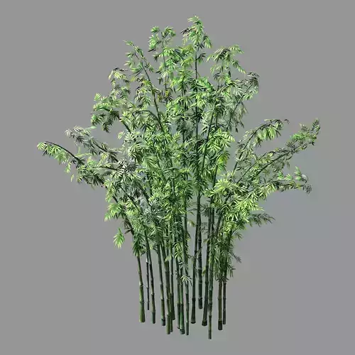 Hundred Forests-Plants-Bamboo 02