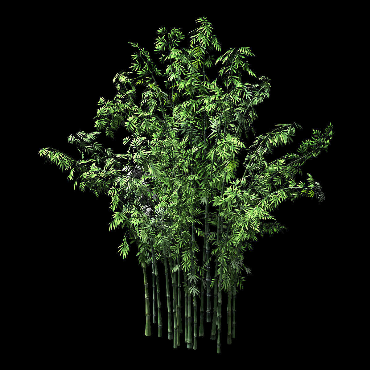 Hundred Forests-Plants-Bamboo 02 3D model_1