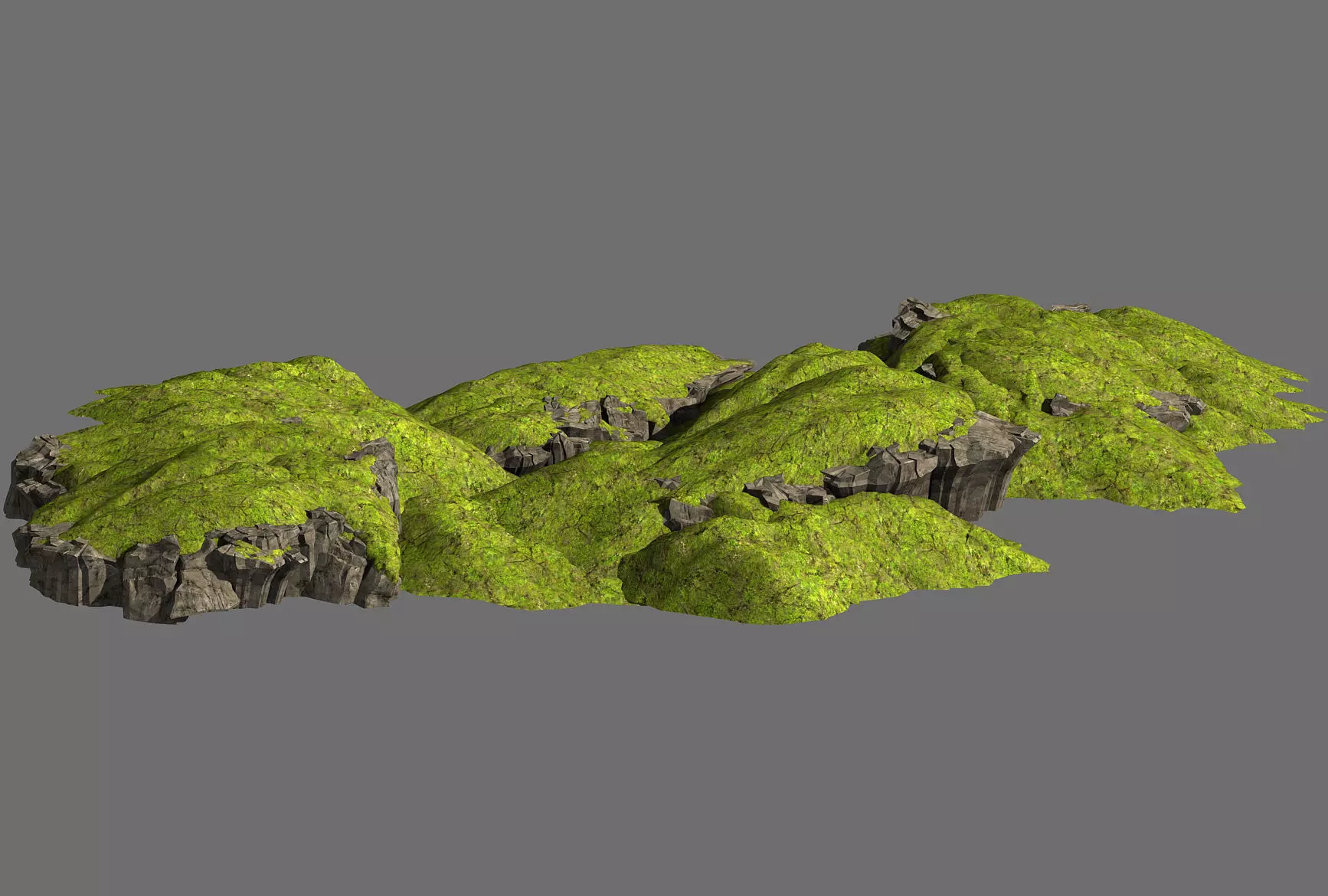 Grassland-Vegetation-Grass and Rock 05 3D model_0
