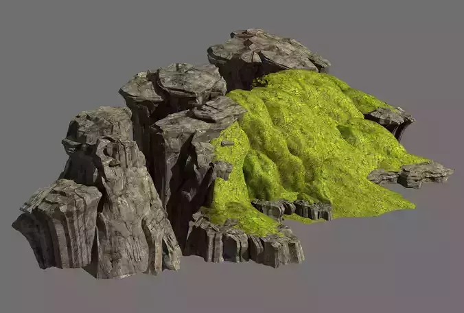 Grassland-Vegetation-Grass and Rock 06