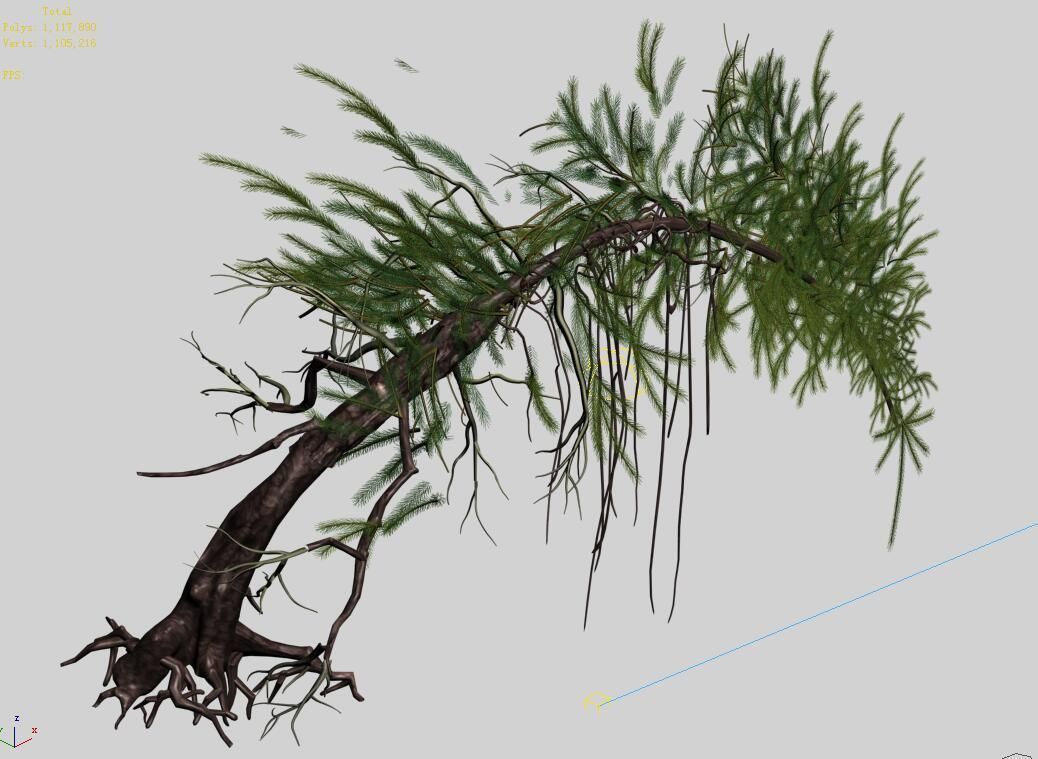 branches-different scales-large fruit-spruce 02 3D model_3