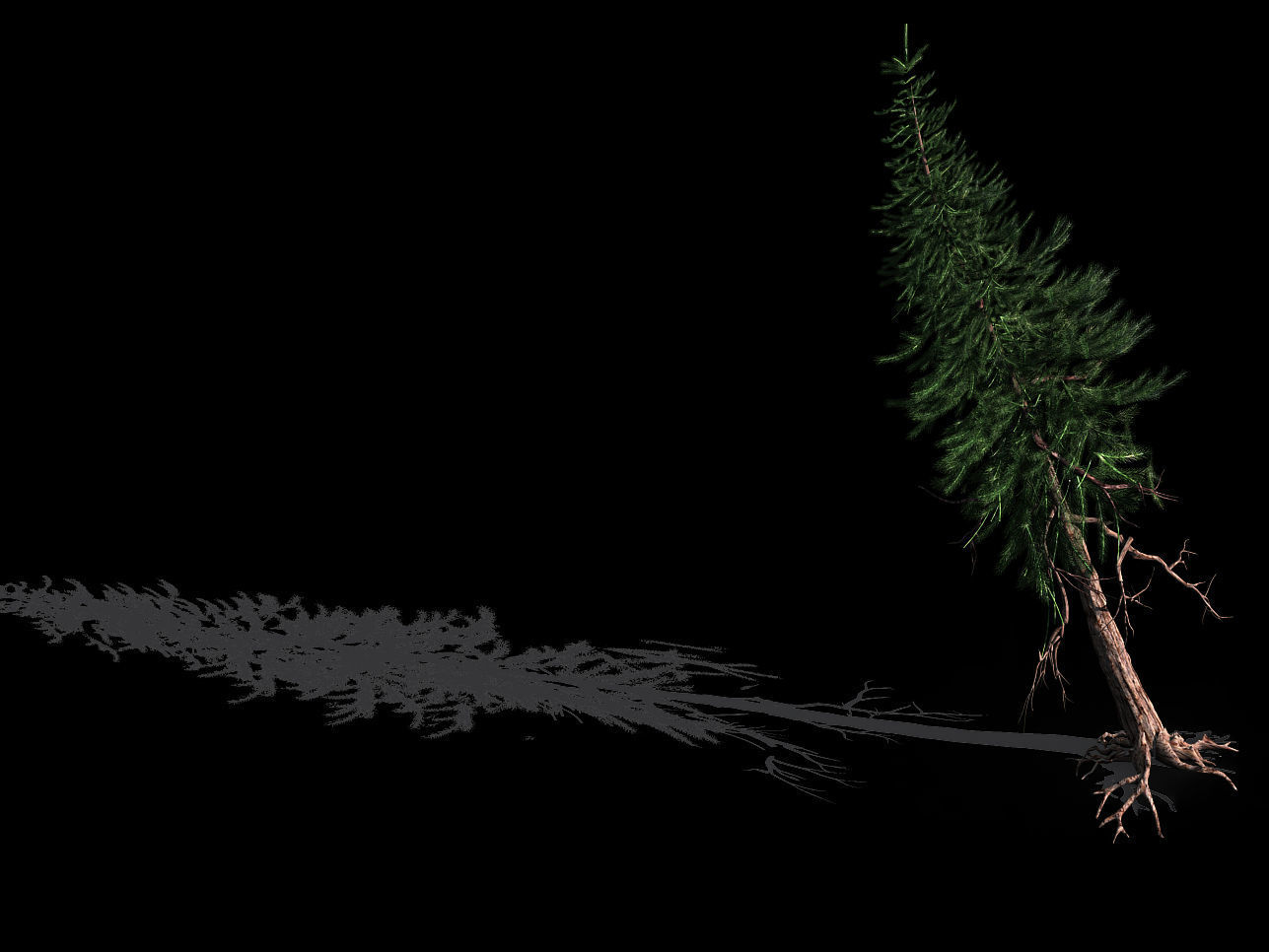 branches-different scales-large fruit-spruce 11 3D model_1