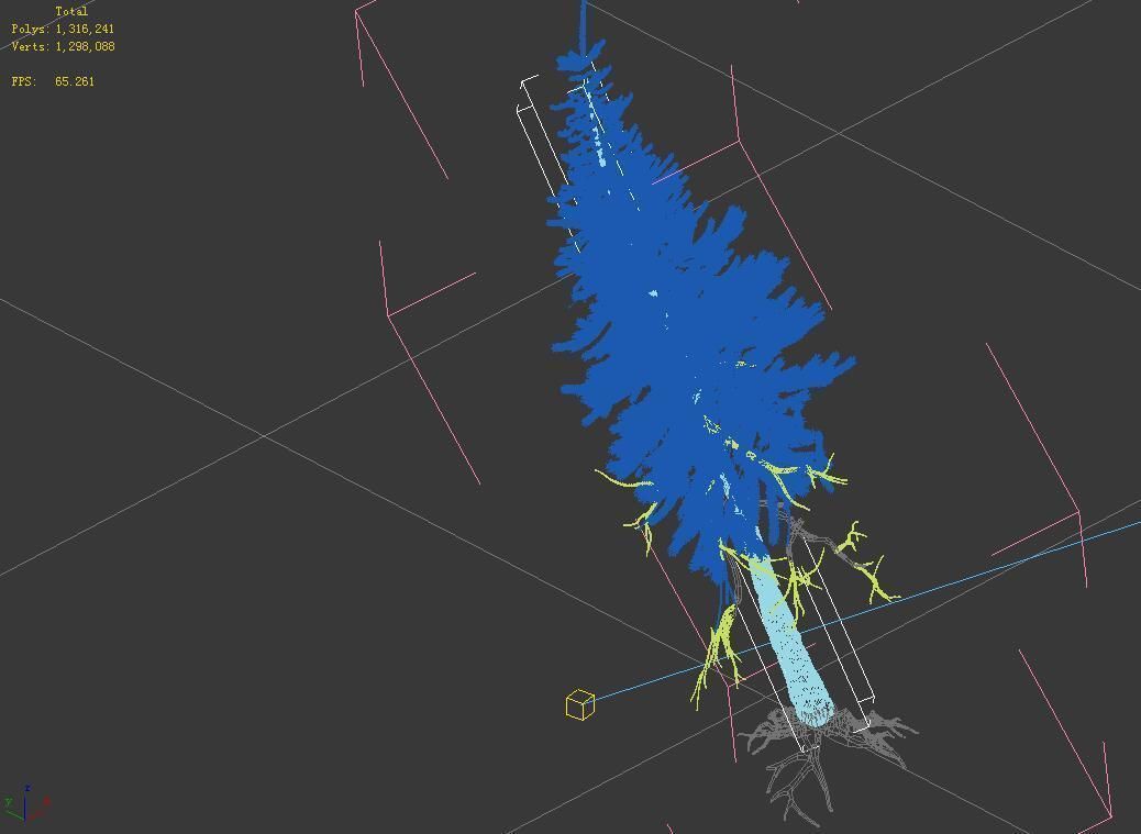 branches-different scales-large fruit-spruce 11 3D model_3