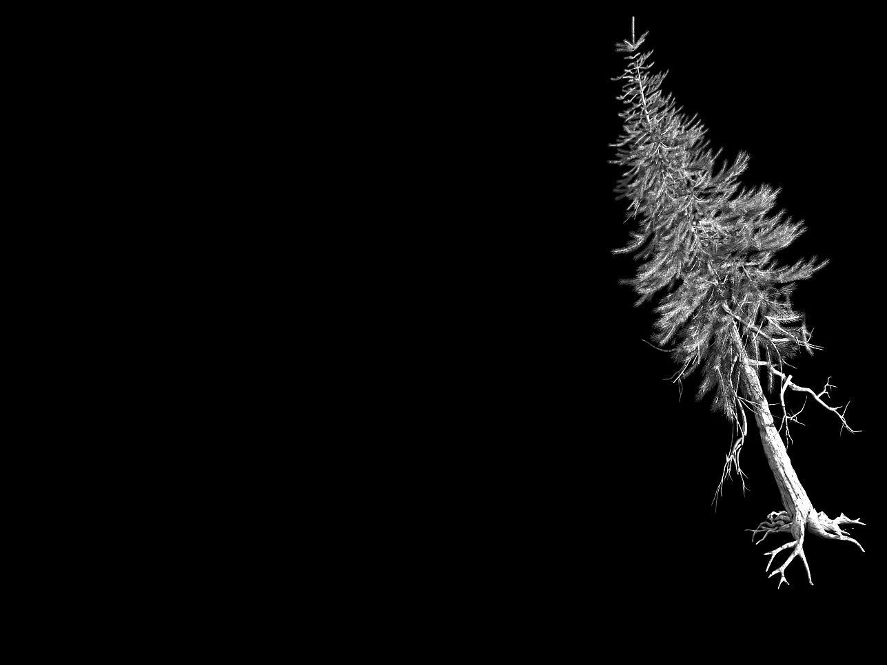 branches-different scales-large fruit-spruce 11 3D model_2