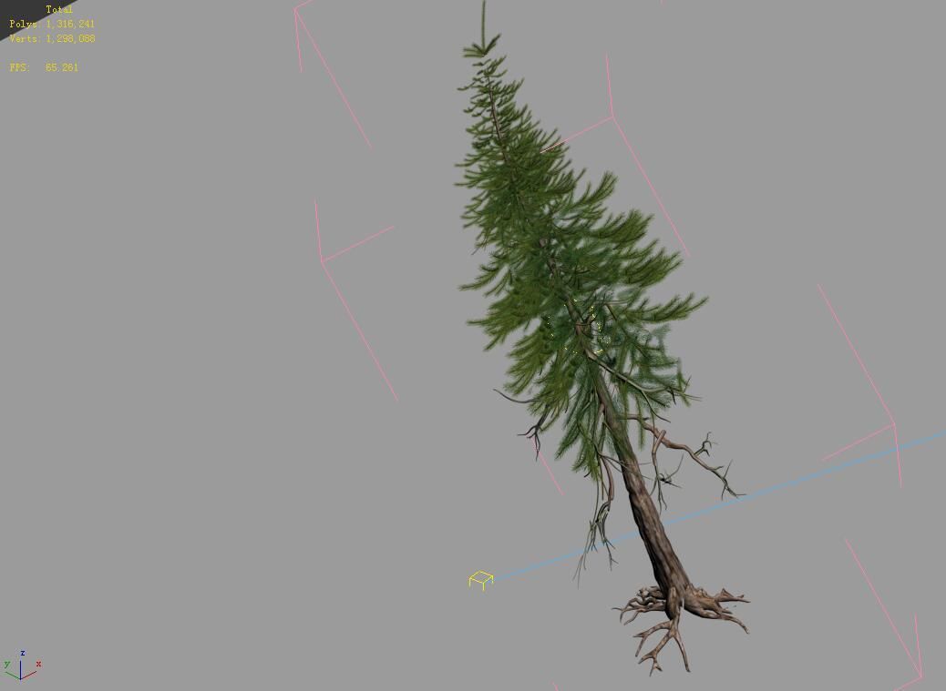 branches-different scales-large fruit-spruce 11 3D model_4