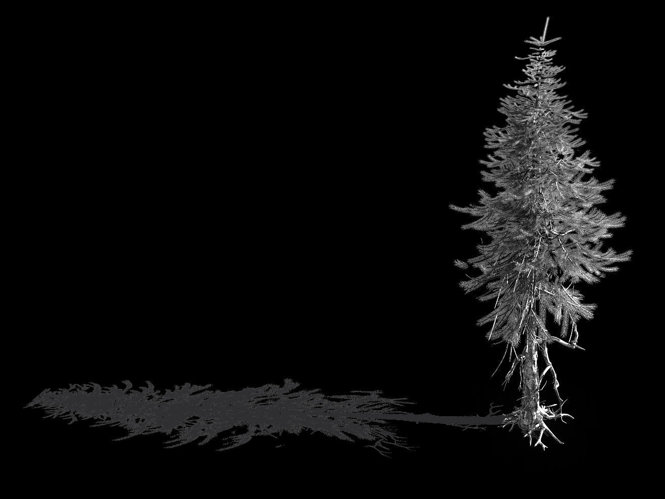 branches-different scales-large fruit-spruce 13 3D model_2