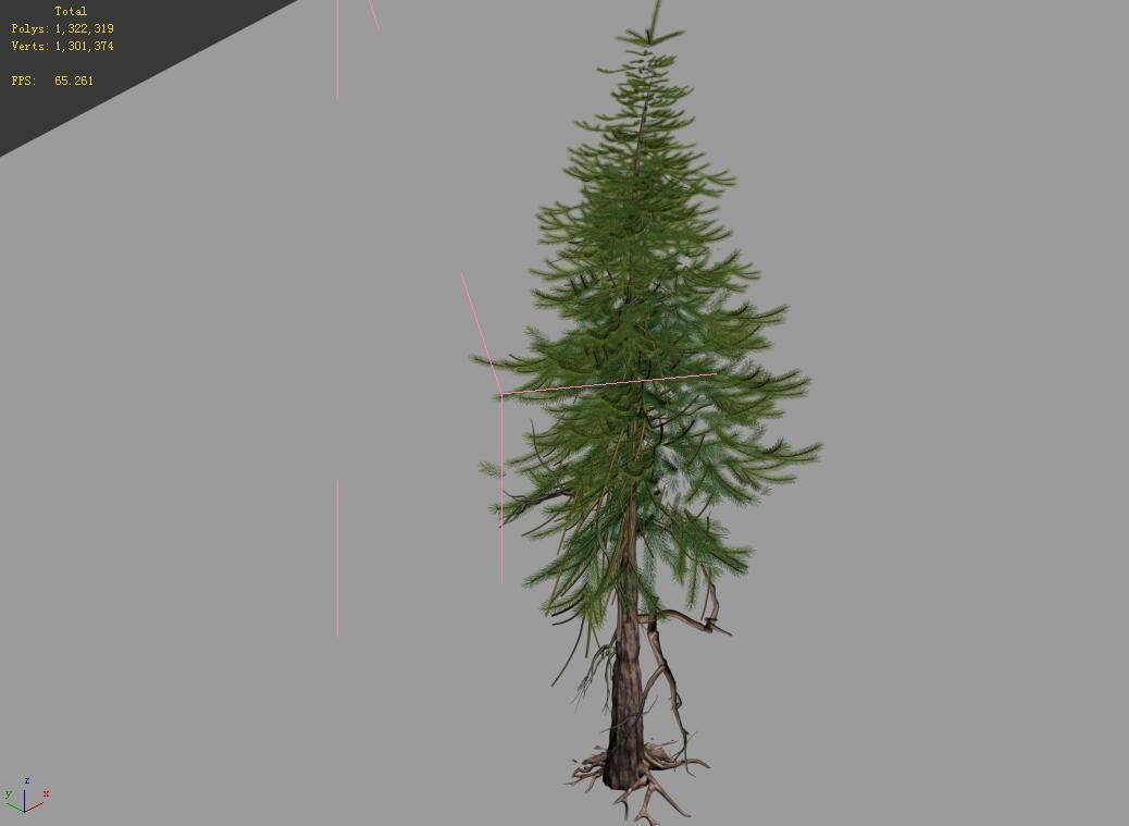 branches-different scales-large fruit-spruce 13 3D model_4