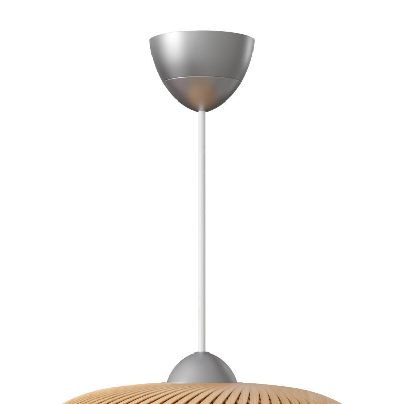Boja Pendant Lamp 3D model_2