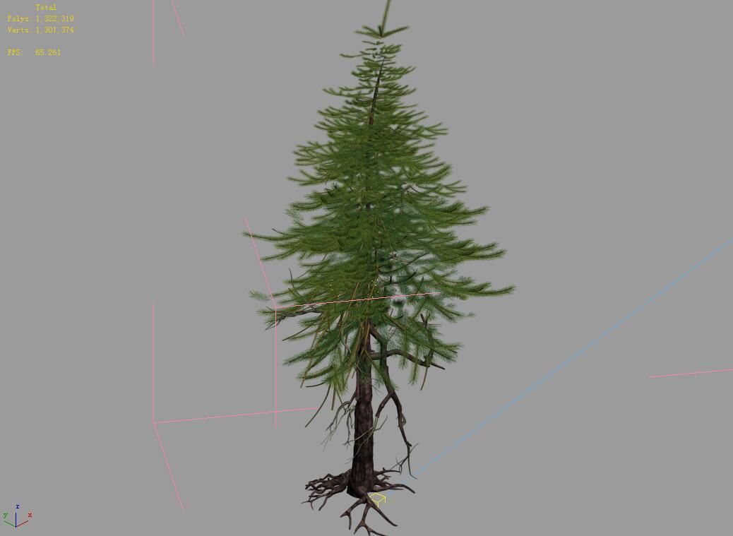 branches-different scales-large fruit-spruce 15 3D model_4