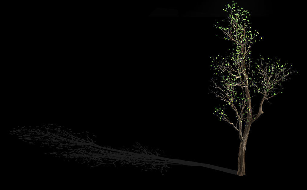Big tree-plant-wood 02 3D model_1