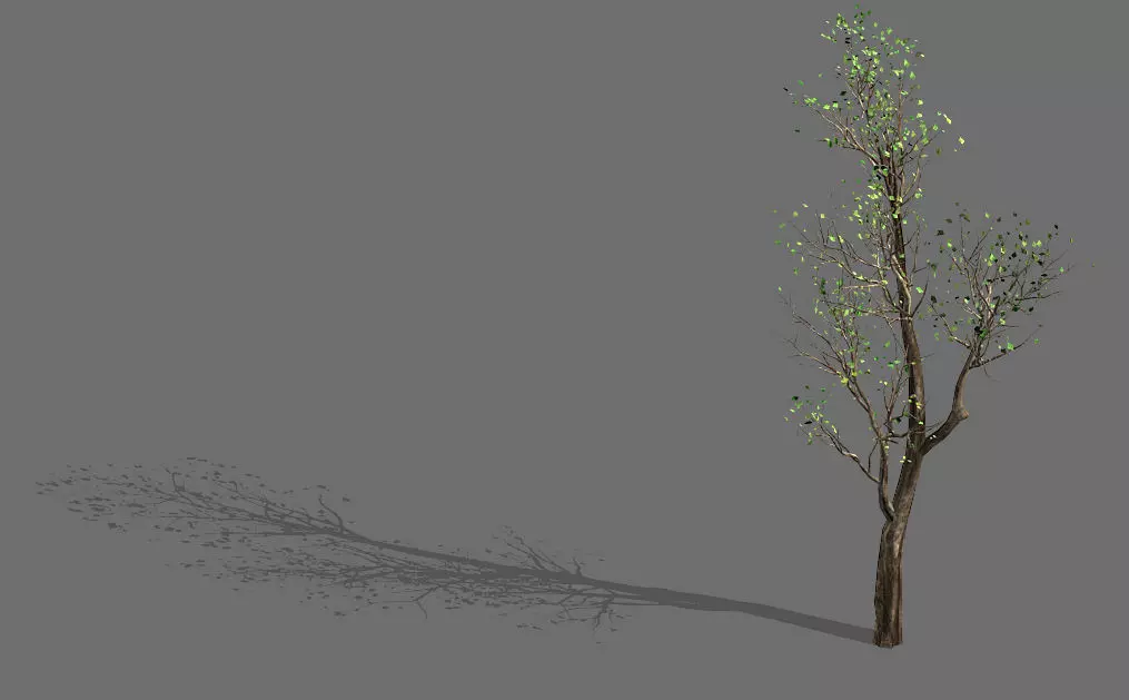 Big tree-plant-wood 02 3D model_0