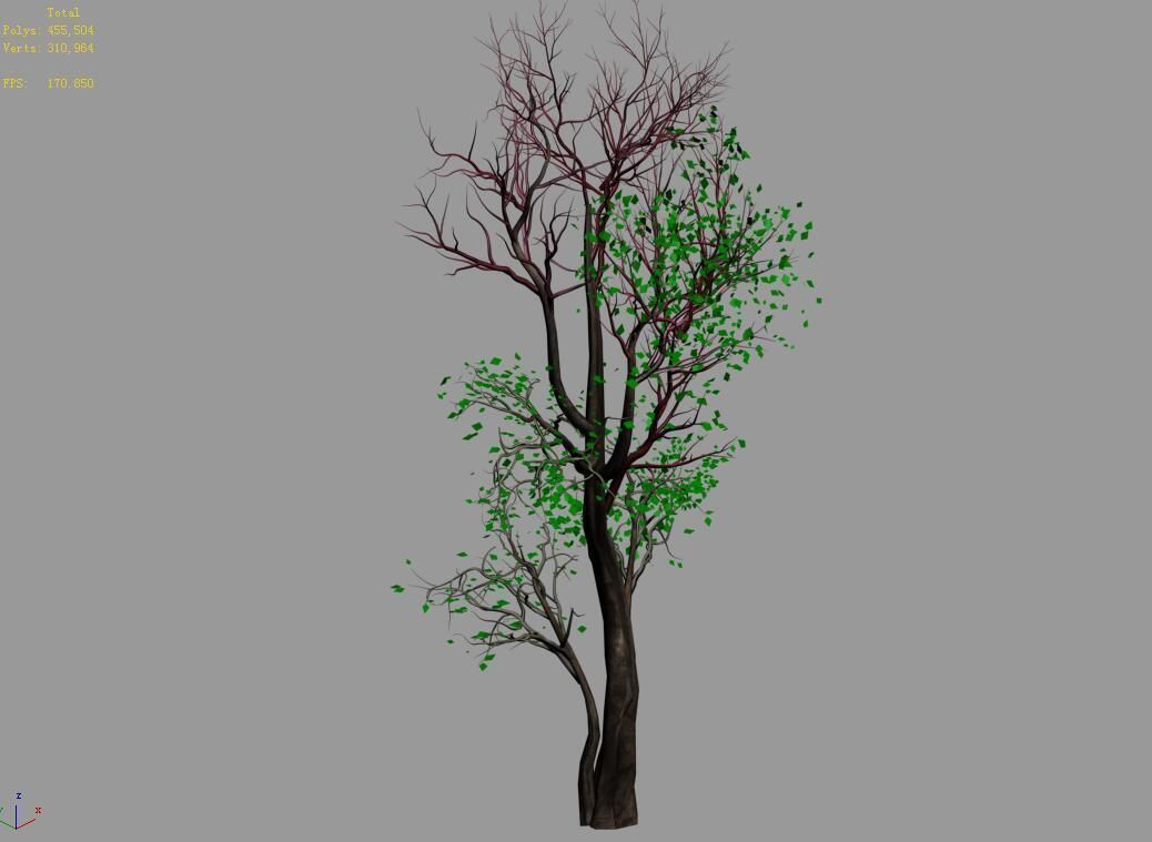 Big Tree-Plant-Wood 014 3D model_4