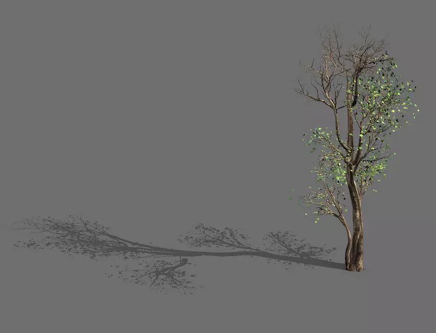Big Tree-Plant-Wood 014 3D model_0