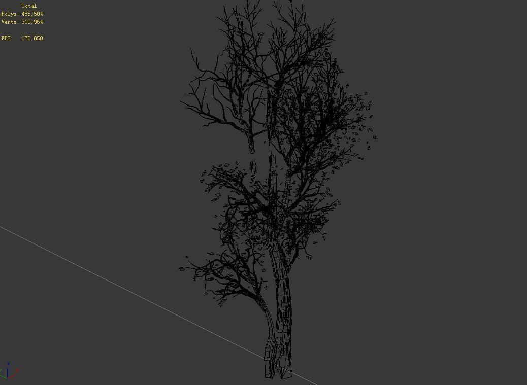 Big Tree-Plant-Wood 014 3D model_3