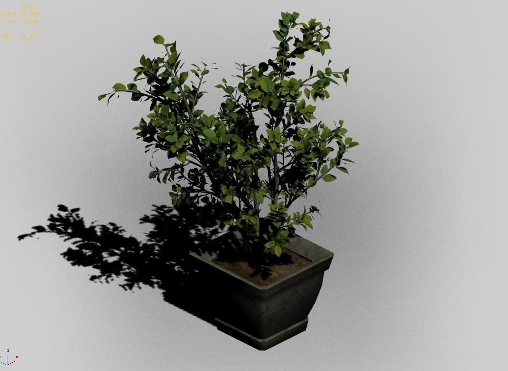 Datang-South-Bonsai 25 3D model_3