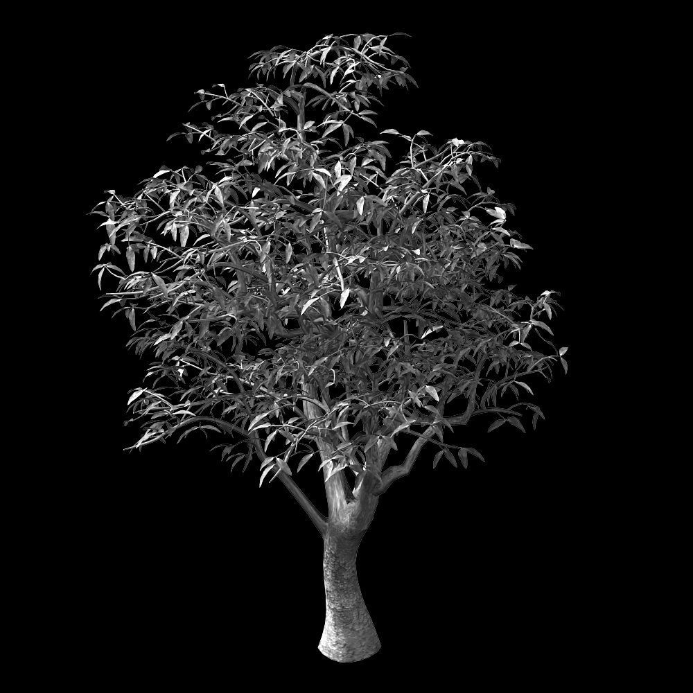 Lilac Garden-Mango Tree 06 3D model_2