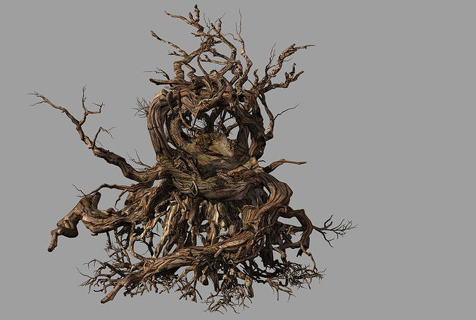 Phoenix Nest-Bird Nest-Tree Root 3D model