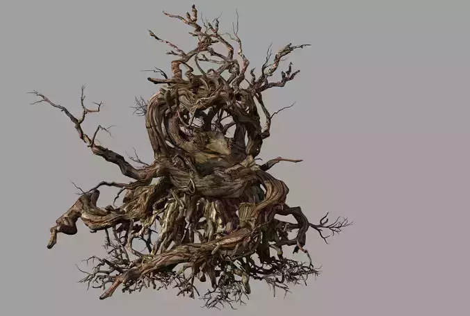 Phoenix Nest-Bird Nest-Tree Root 3D model