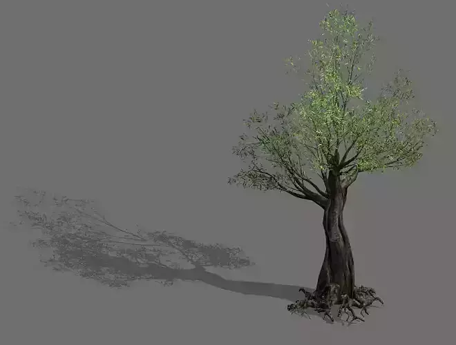 Salix-desert plant 12