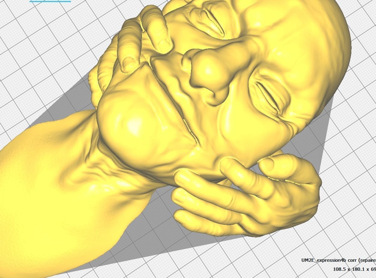 Put a smile on your face - Art piece 3D print model_5