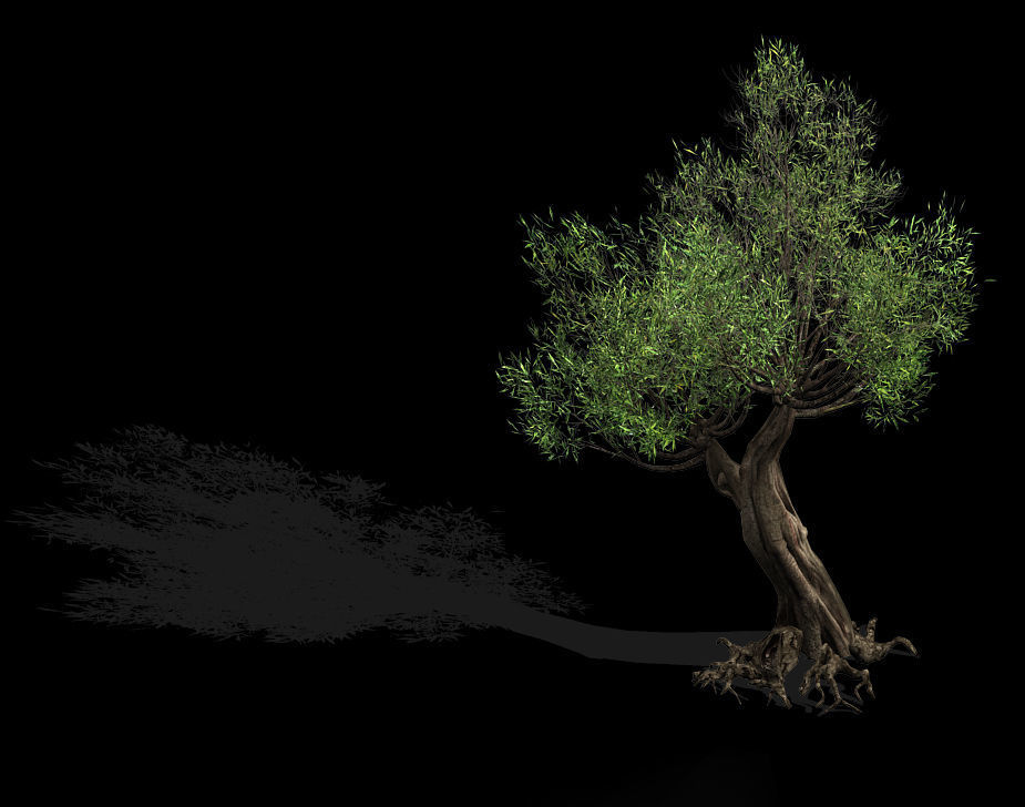 Salix-desert plant 16 3D model_1