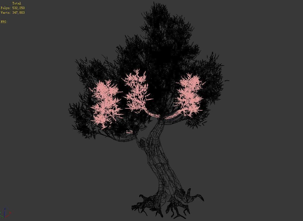 Salix-desert plant 16 3D model_3