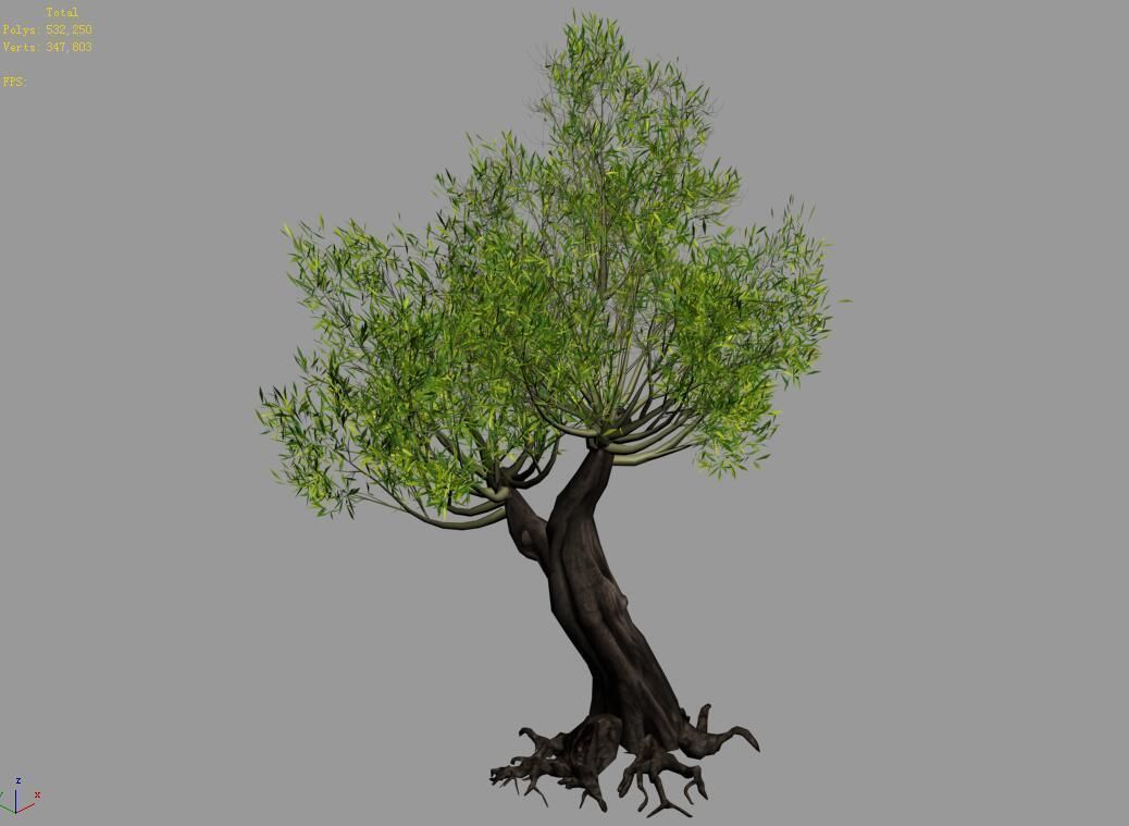 Salix-desert plant 16 3D model_4
